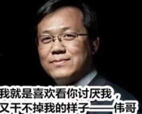 卓伟爆料新模式视频,新模式视频揭秘娱乐圈幕后风云